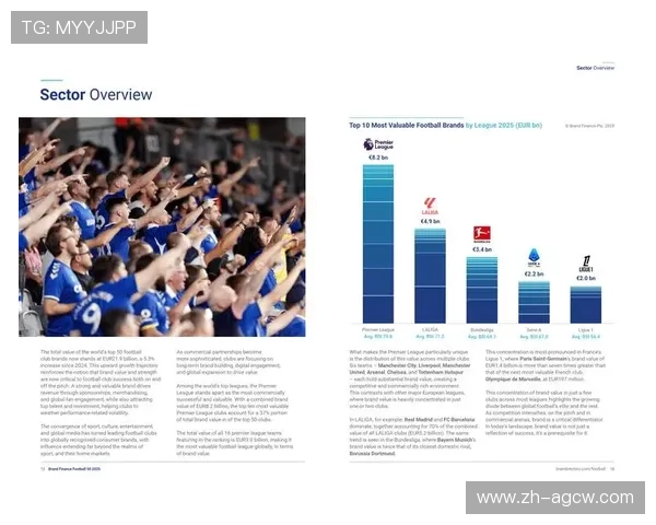 足球赛事中的经济效益与品牌价值